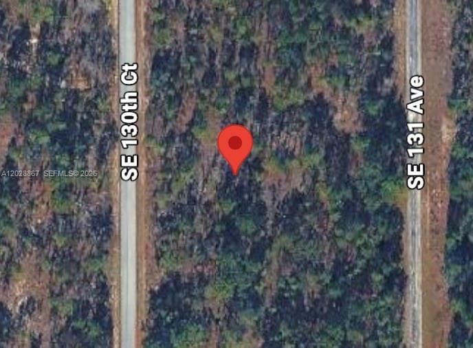 Lot 49 SE 130th Ct, Other City - In The State Of Florida FL 34431