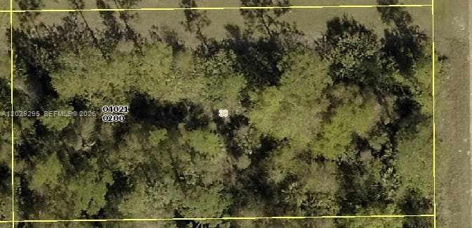 915 Acacia Ave, Lehigh Acres FL 33972