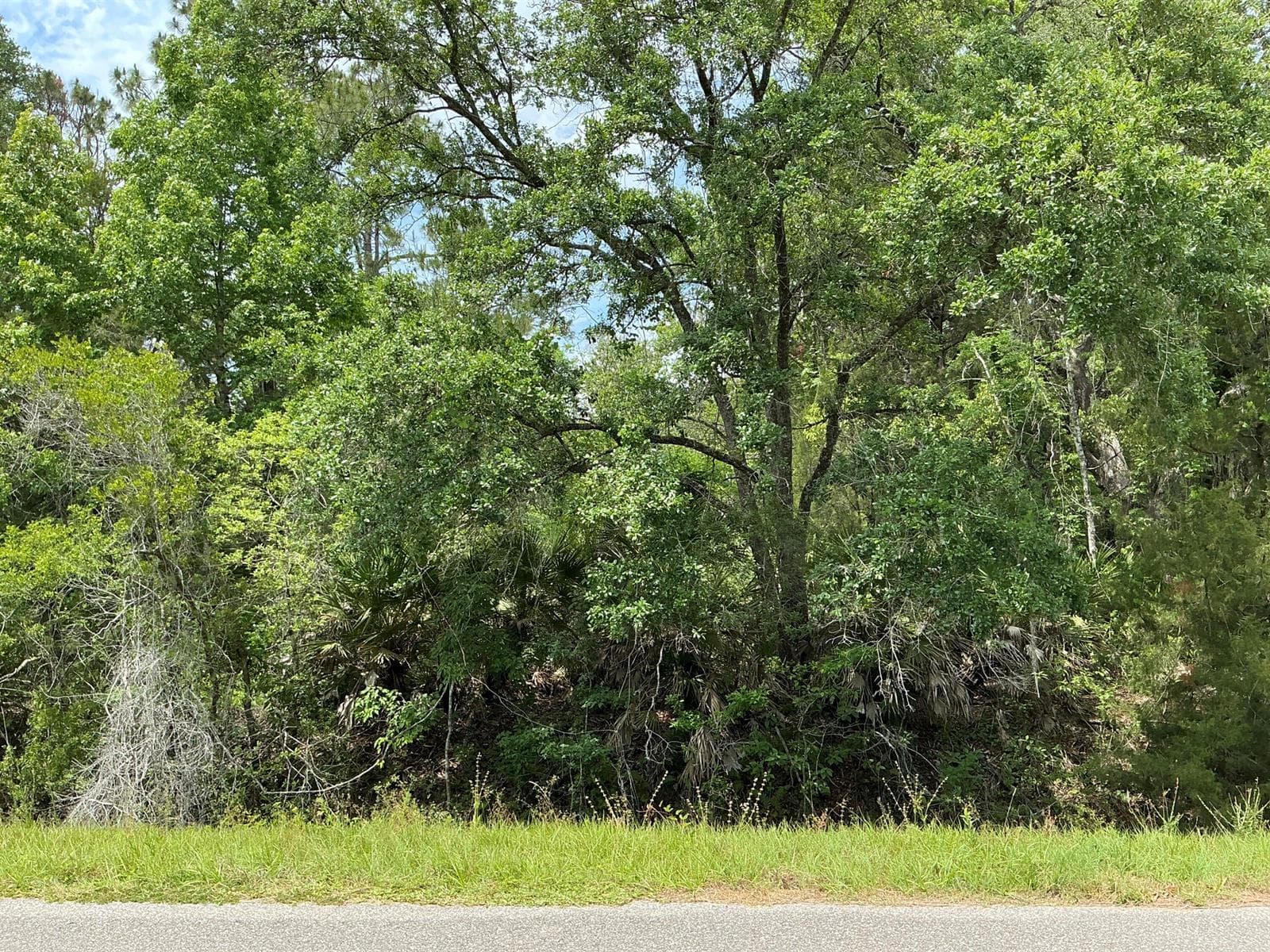 5020 Stephen Street, FL 32145