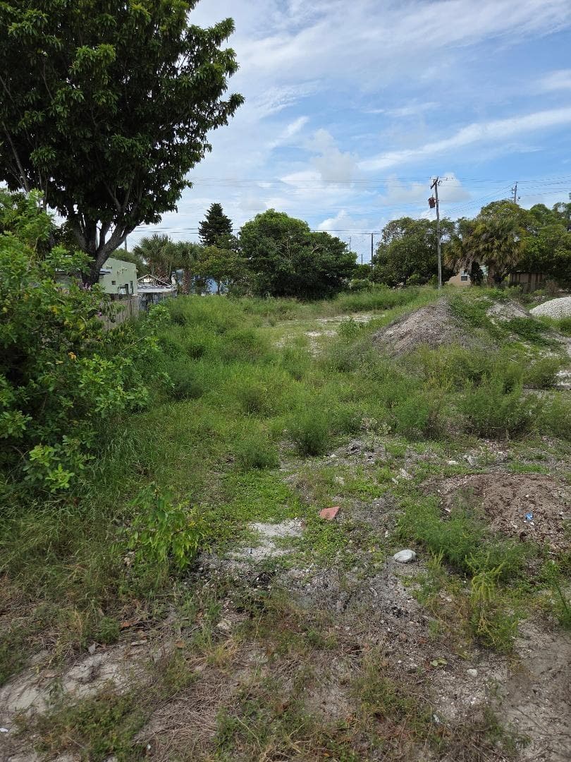 Lot pic 5 5
