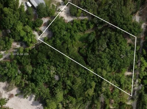 141 STRAWBERRY ST, Other City - In The State Of Florida FL 32181