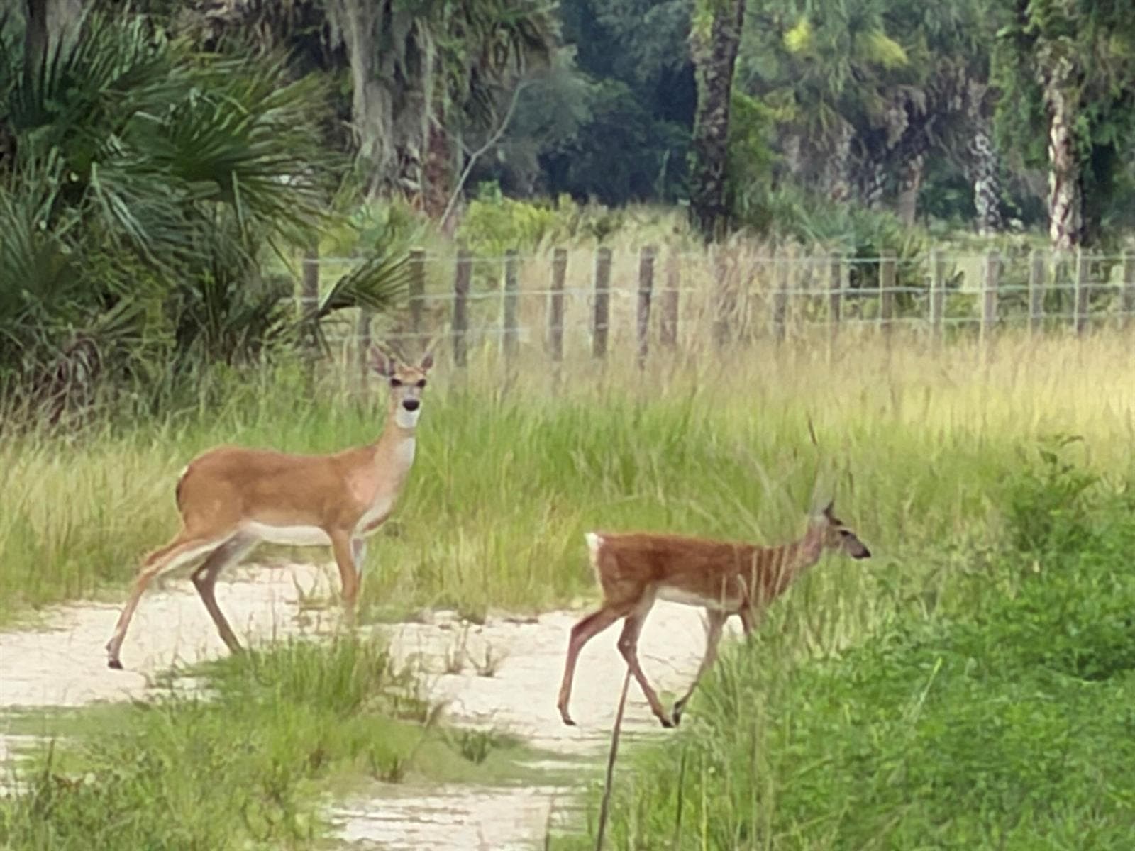 0 Co Rd 832, Clewiston FL 33440