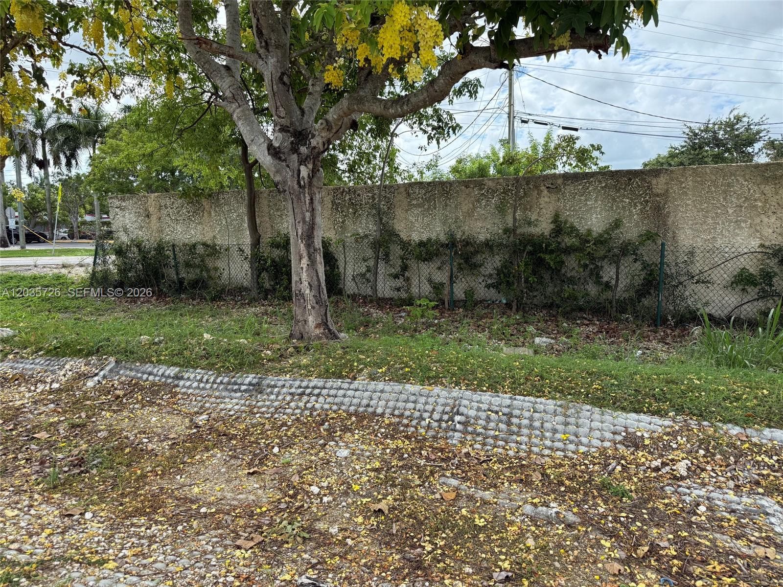 Rock Wall