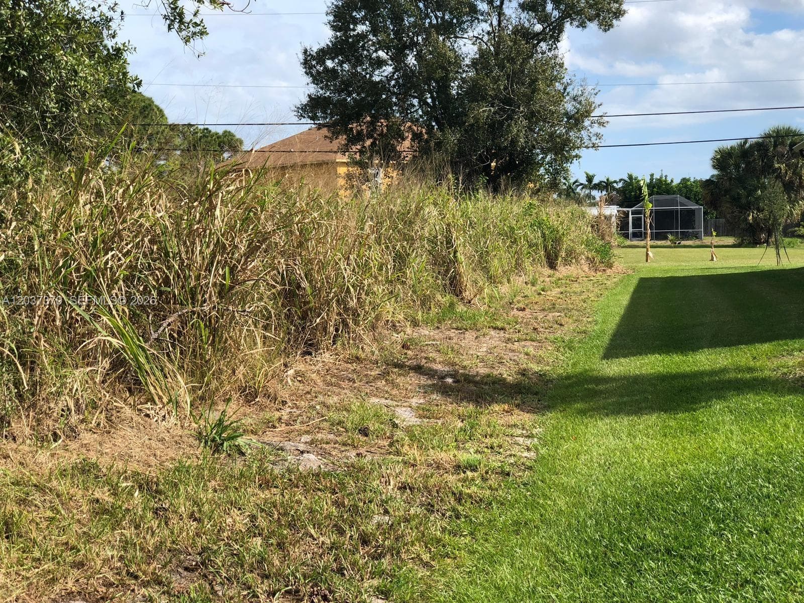 YARD