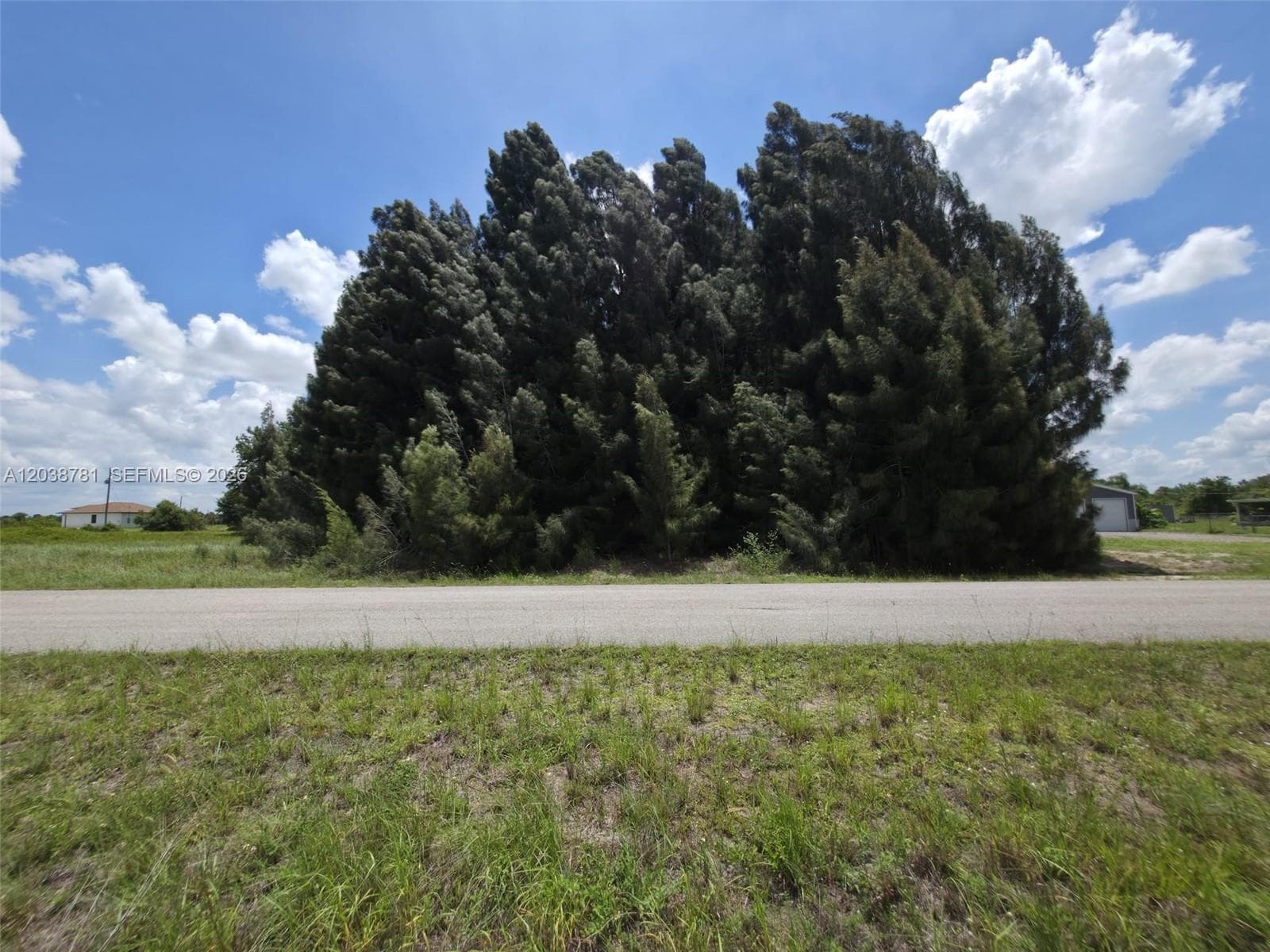 1616 LOUIS AVE, Lehigh Acres FL 33972
