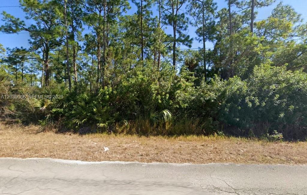 1010 Henry Ave, Lehigh Acres FL 33972