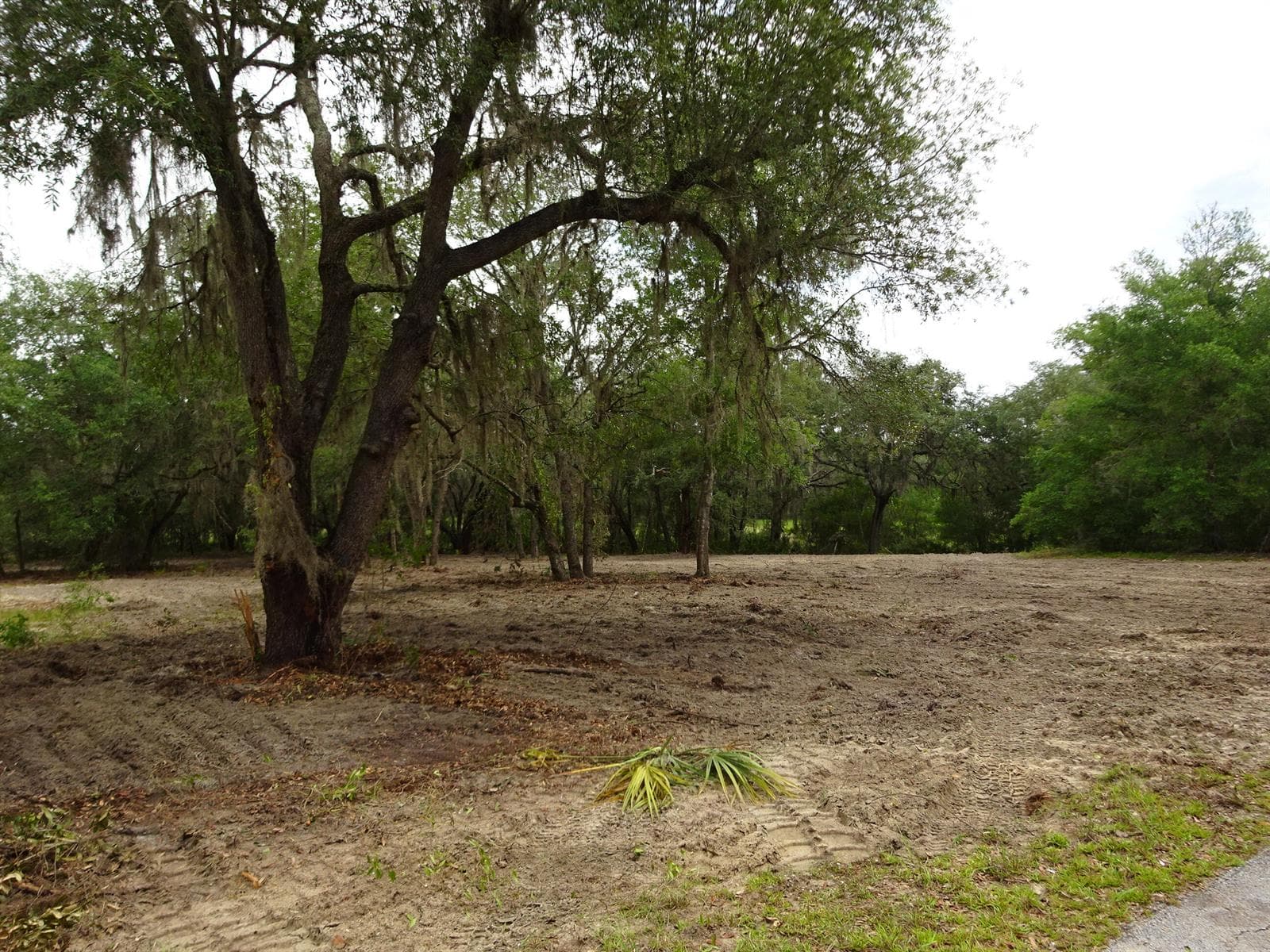 Lots 449,450,451,452,453 SW Shorewood Drive SW, FL 34431