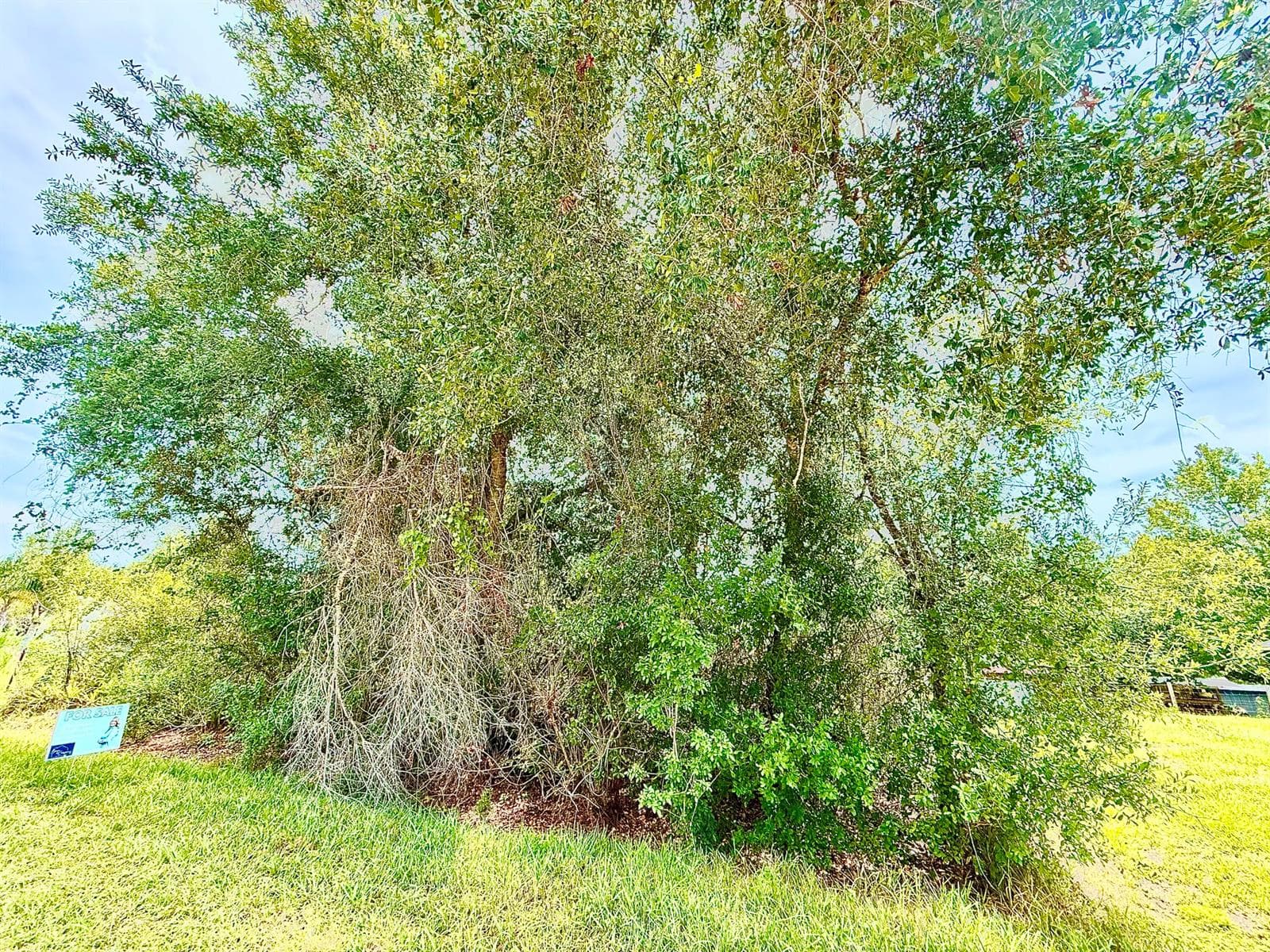10530 NE 2nd Terrace, Okeechobee FL 34972