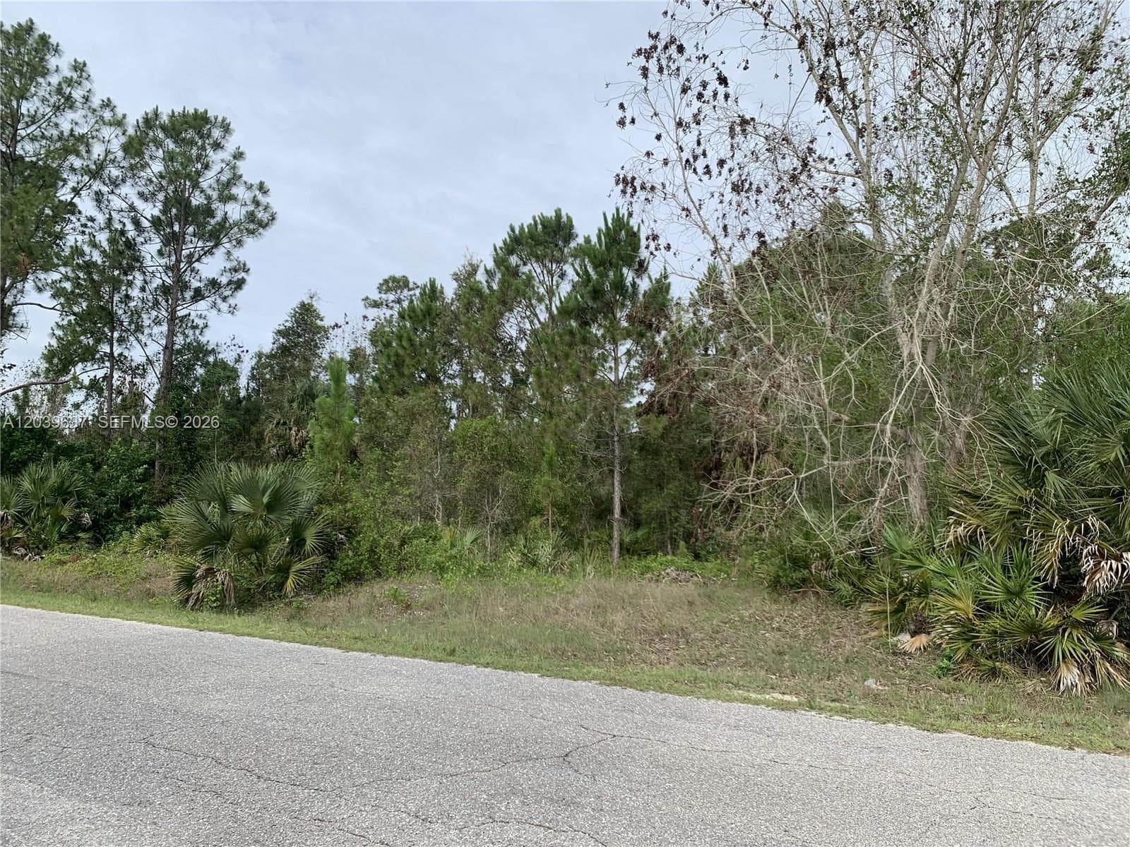 1019 Cleveland, Lehigh Acres FL 33972