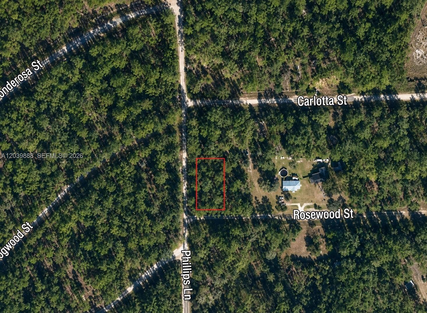 Other City - In The State Of Florida, FL, 32139