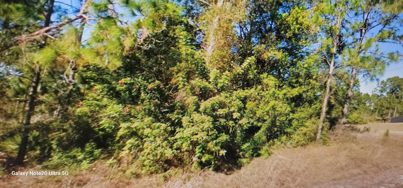 1023 Acacia Avenue, Lehigh Acres FL 33972