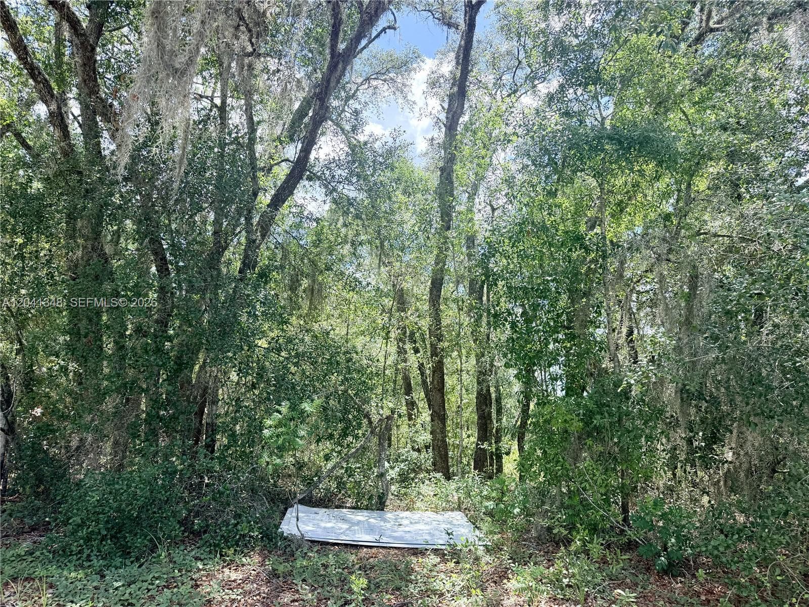 7932 N Elkcam Boulevard, Citrus Springs FL 34433