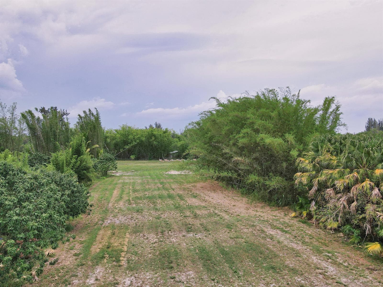 DJI_0763