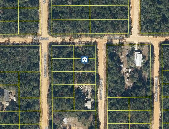 Lot 31 David Avenue, FL 32148