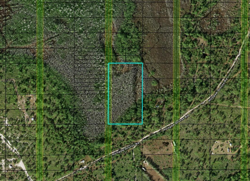 0 Holopaw Groves Road, FL 34772