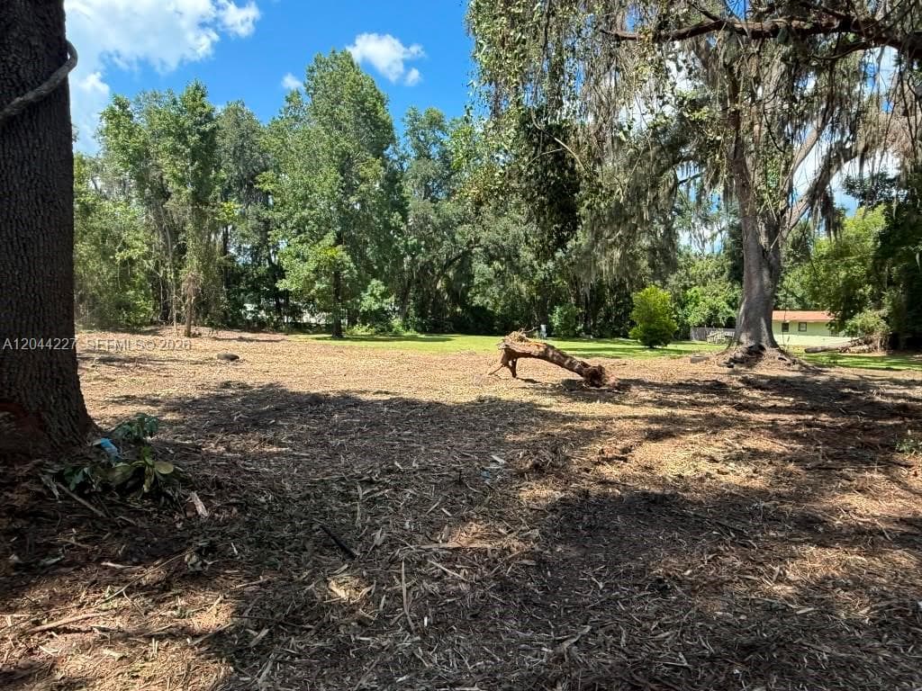 36 SW Bumble Street Fort White, FL 32038