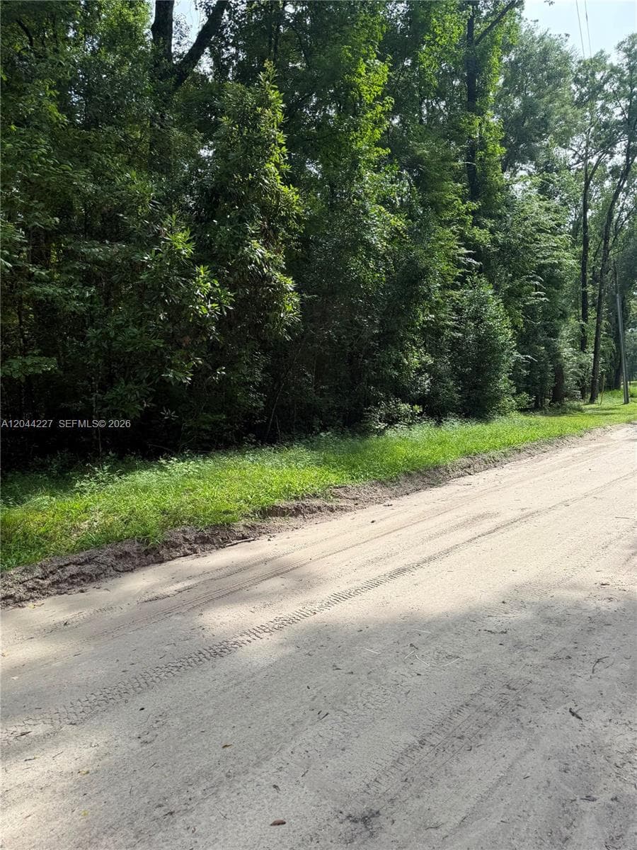 36 SW Bumble Street Fort White, FL 32038