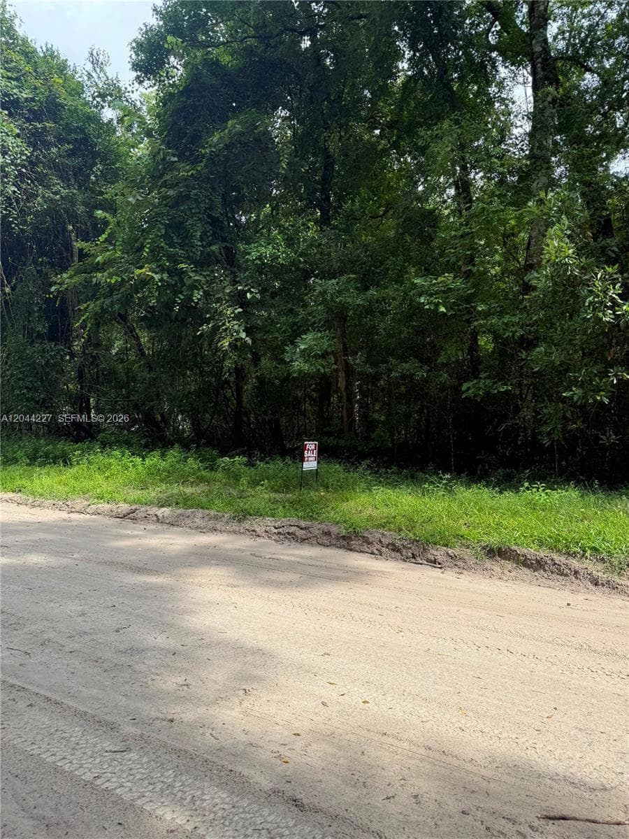 36 SW Bumble Street Fort White, FL 32038