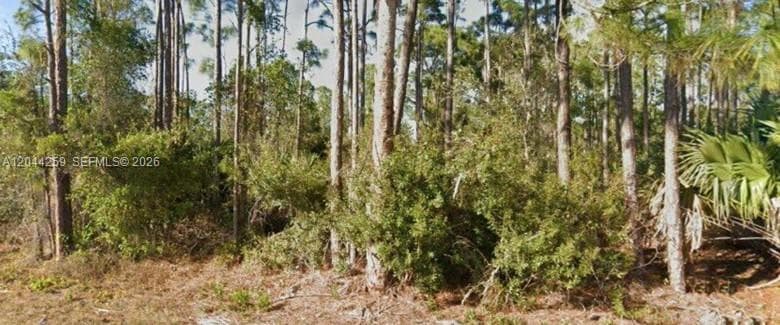 26442 Scham Rd, Punta Gorda FL 33955