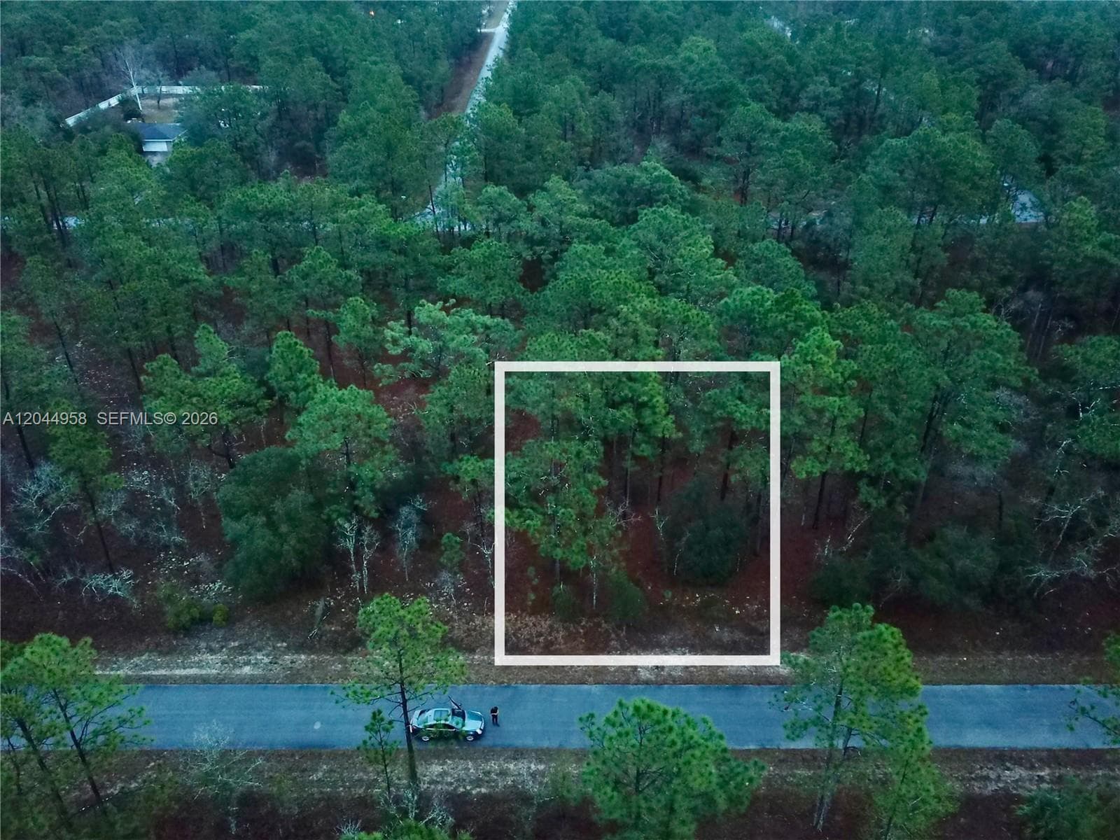 Lot Nearby Narcissus Rd, Other City - In The State Of Florida FL 34431