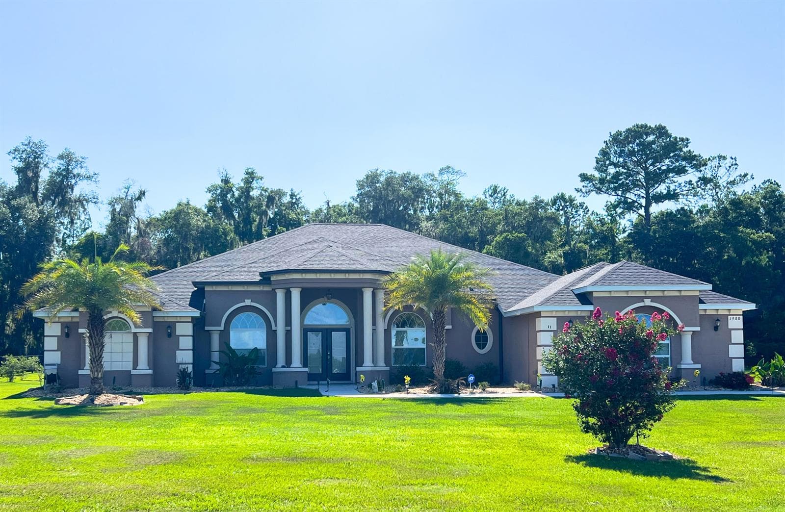 House in the Neighborhood