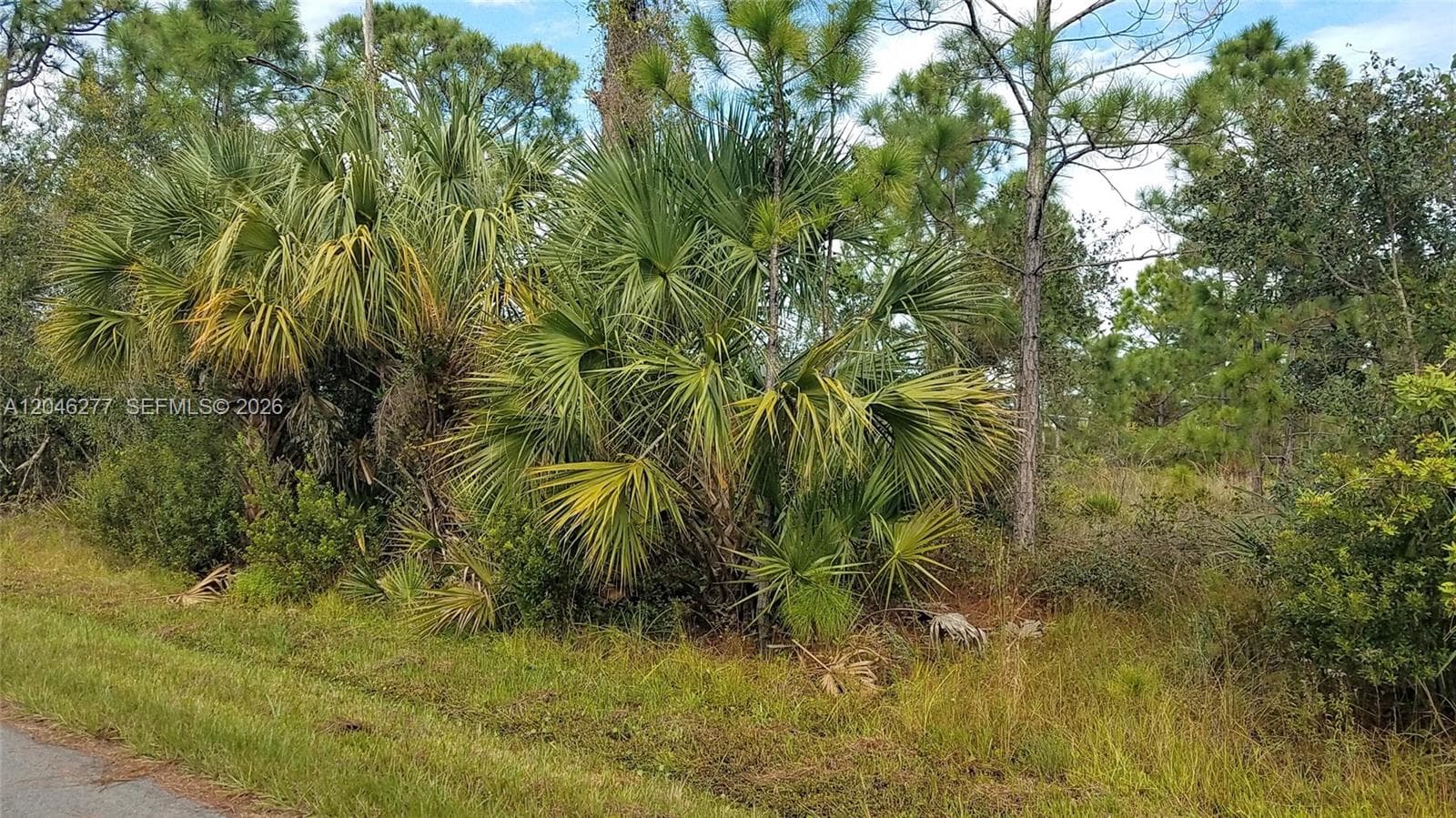 26318 Hapsburg Rd, Punta Gorda FL 33955