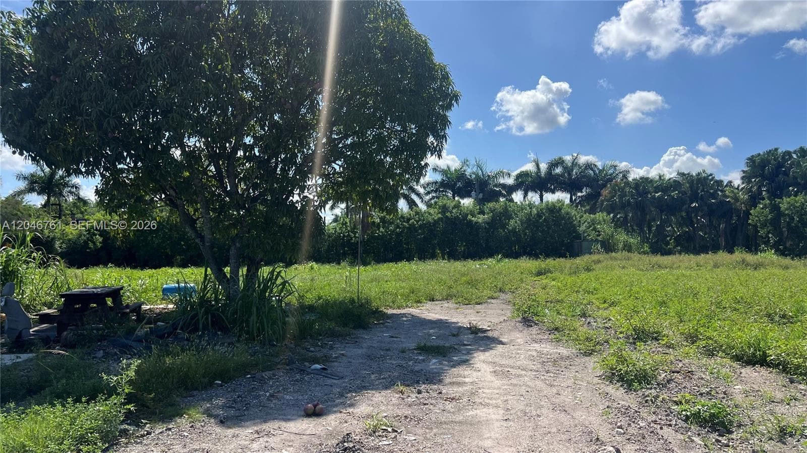 15820 SW 209th Ave, Miami FL 33187