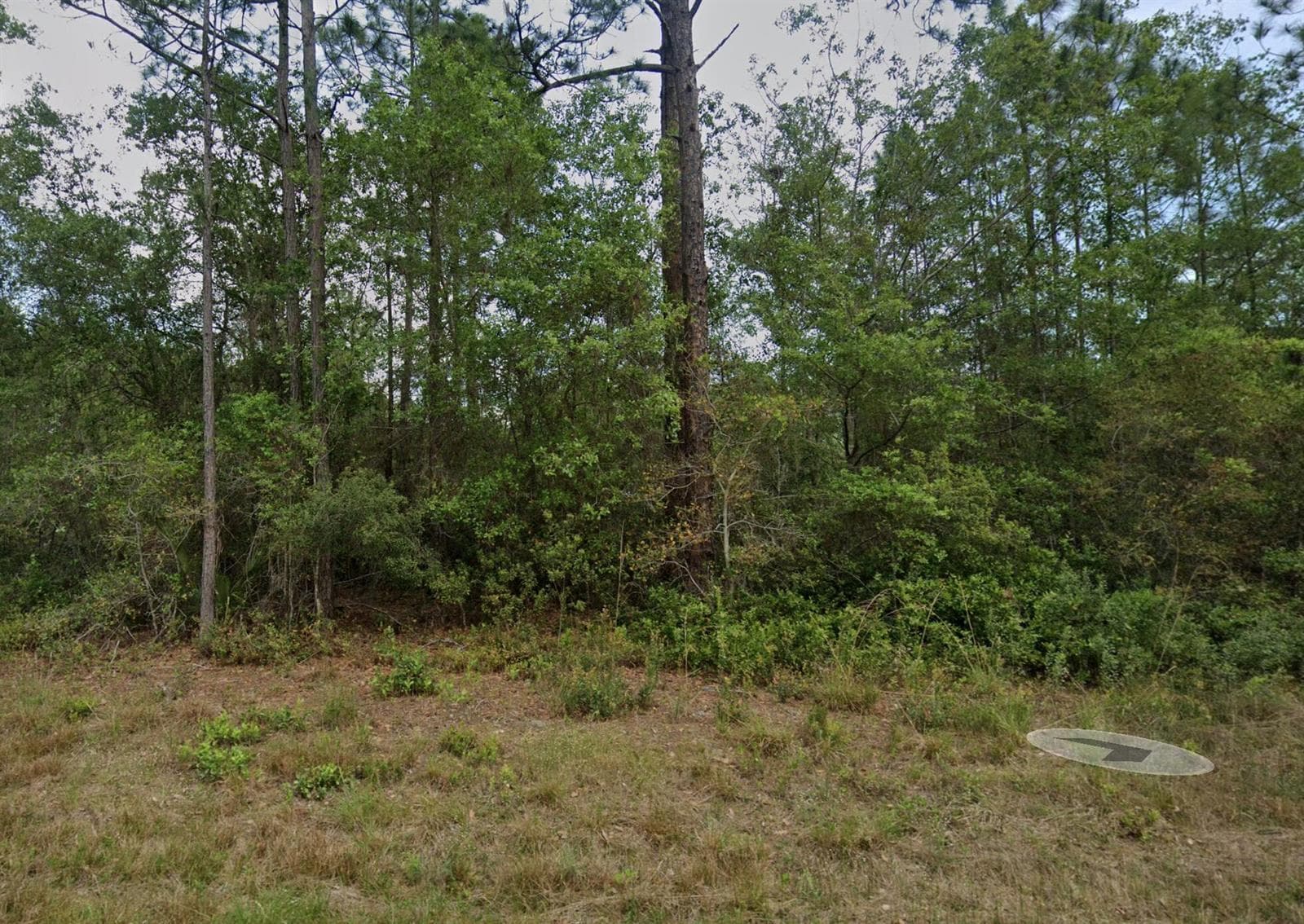 124 Roebuck Street, FL 32139