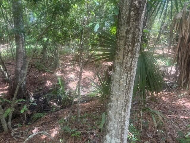 0 Ave O Avenue, Ormond Beach FL 32174