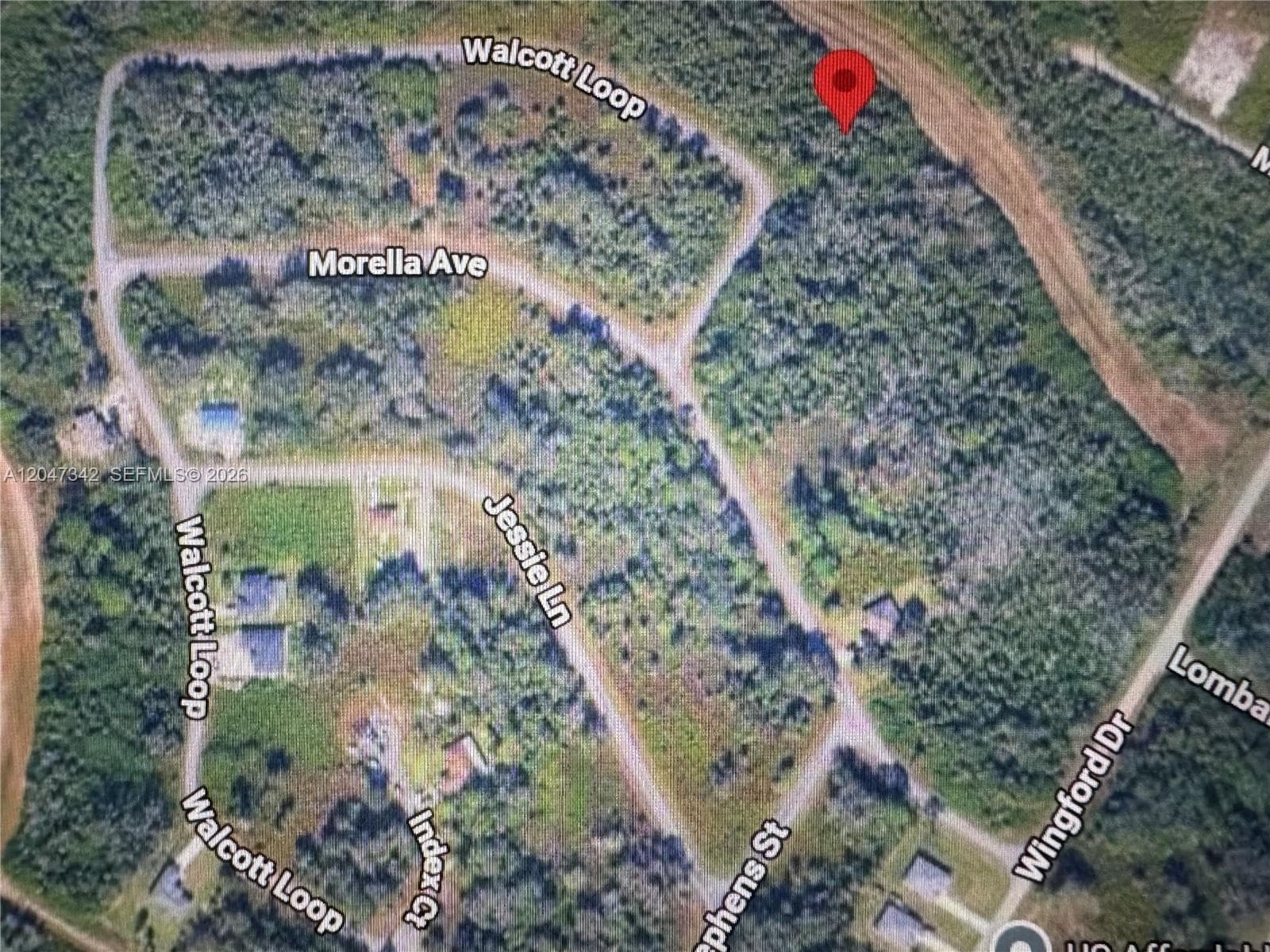1991 WALCOTT LOOP, Lehigh Acres FL 33972