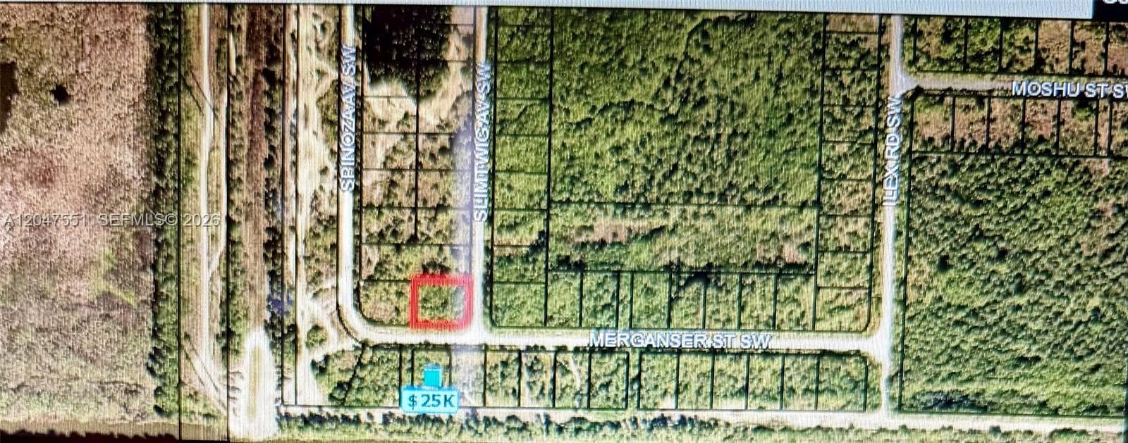Merganser St SW & Slimtwig Ave, Palm Bay FL 32908