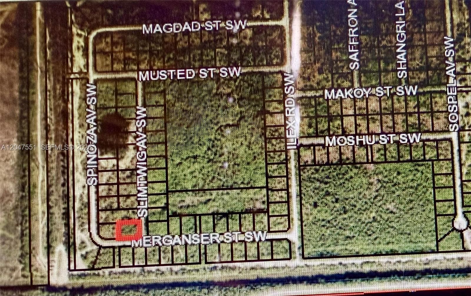 Merganser St SW & Slimtwig Ave, Palm Bay FL 32908