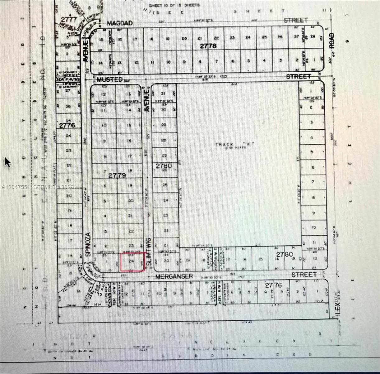 Merganser St SW & Slimtwig Ave, Palm Bay FL 32908