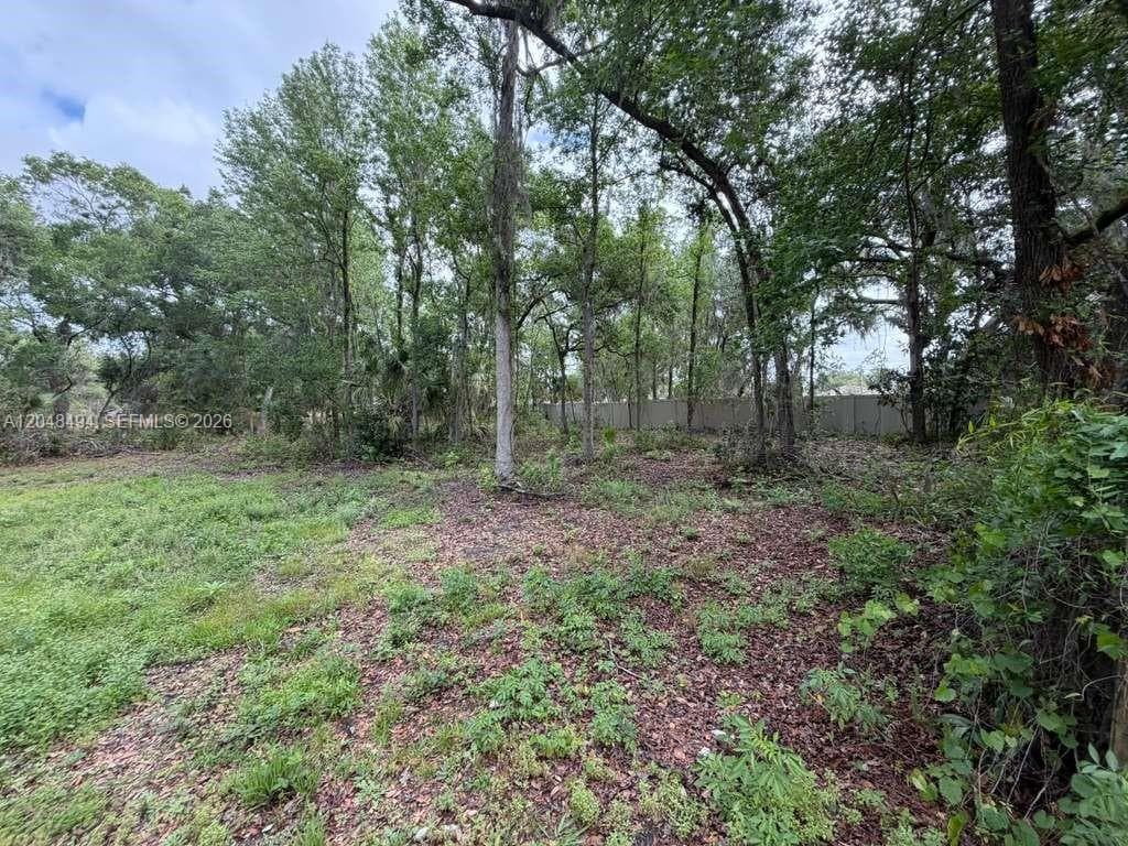 0 BAILEY RD, Other City - In The State Of Florida FL 33860