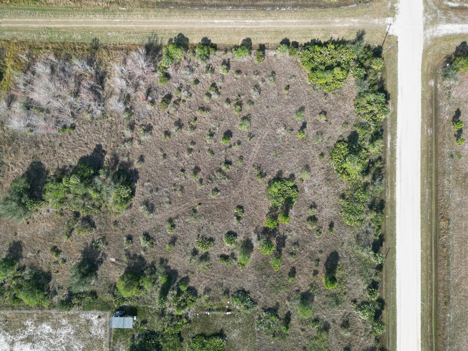 DJI_0732