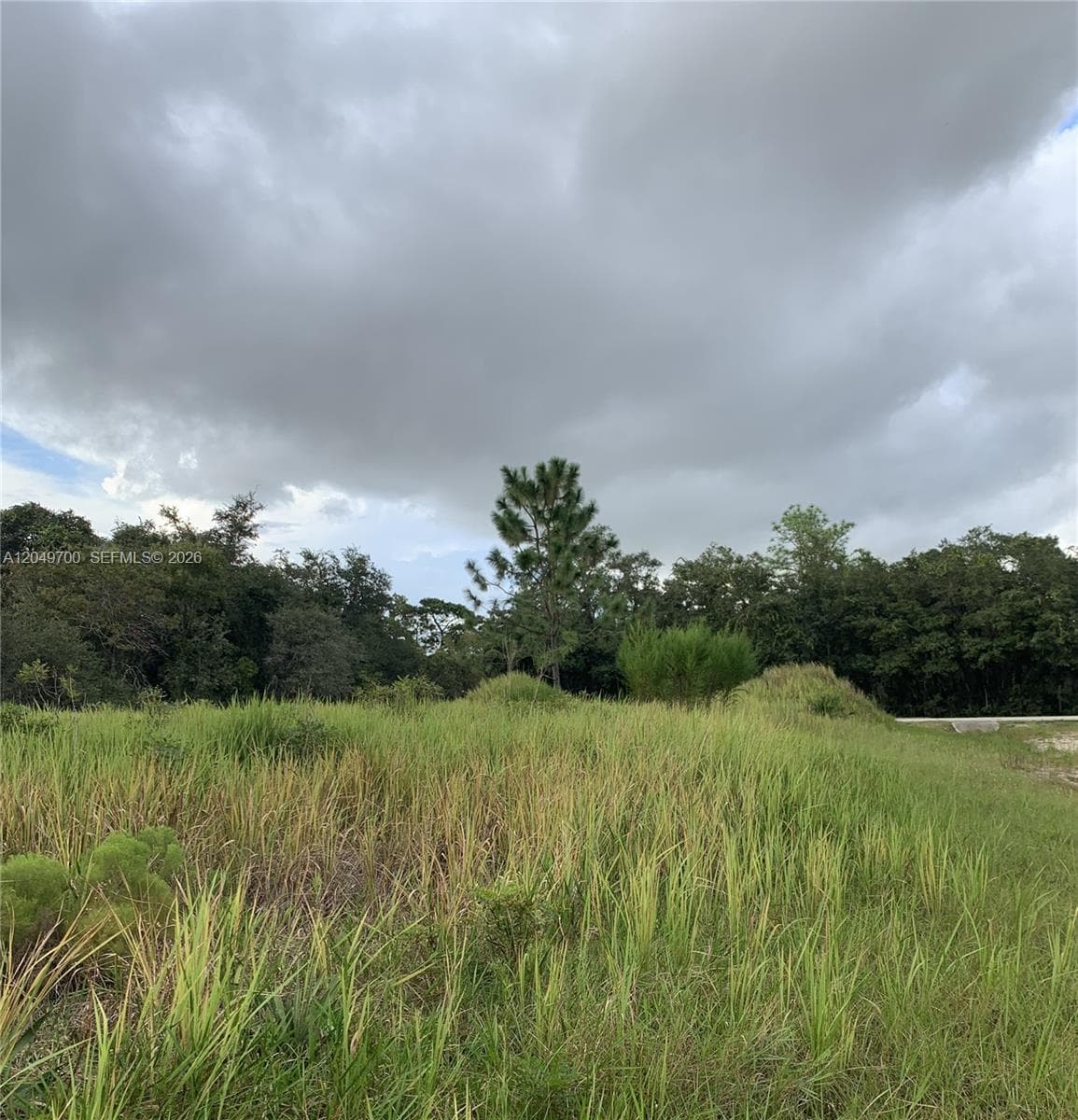 531 St Johns Ct, Kissimmee, FL 34759, Poinciana FL 34759