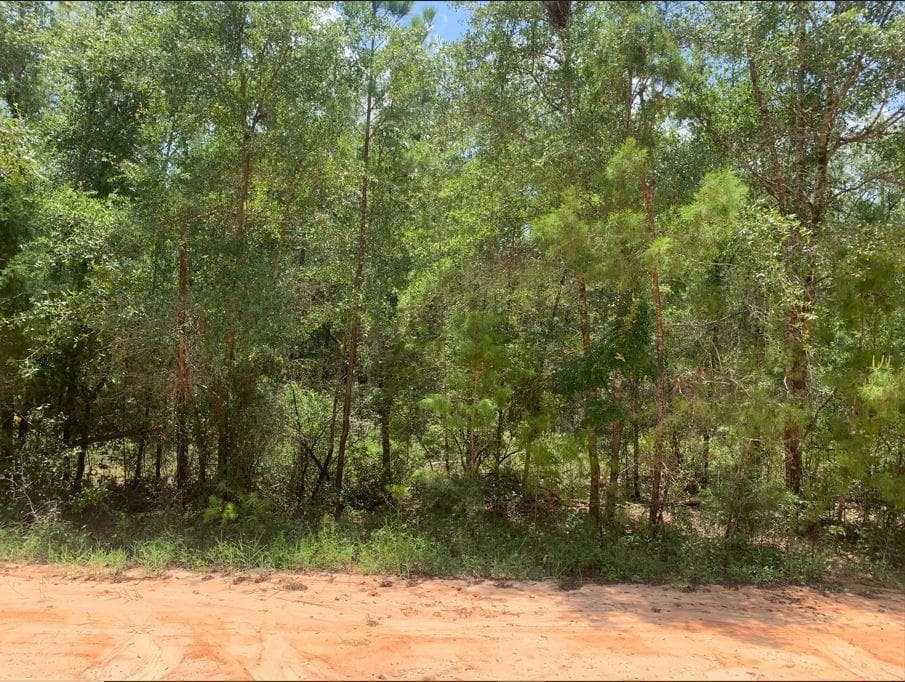115 Florida Boulevard, FL 32189