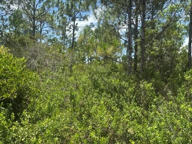 0 Holopaw Groves Road, FL 34772