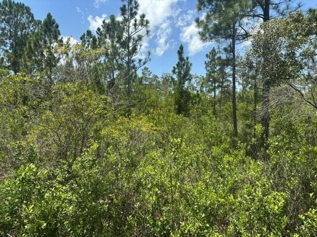 0 Holopaw Groves Road, FL 34772