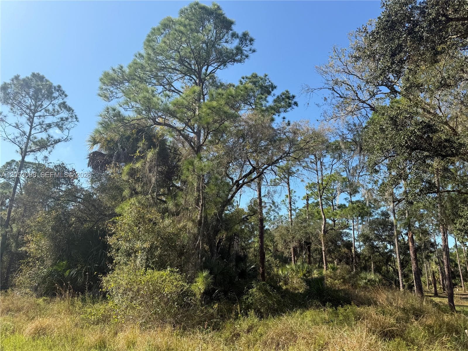740 S LINDERO ST, Clewiston FL 33440