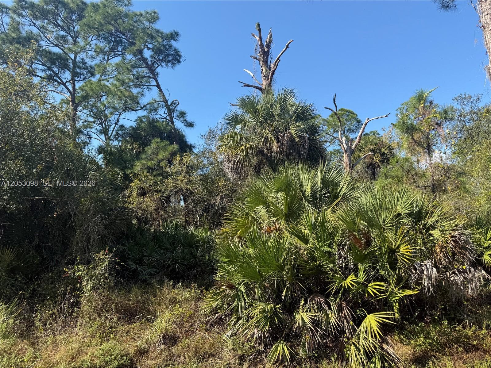 740 S LINDERO ST, Clewiston FL 33440