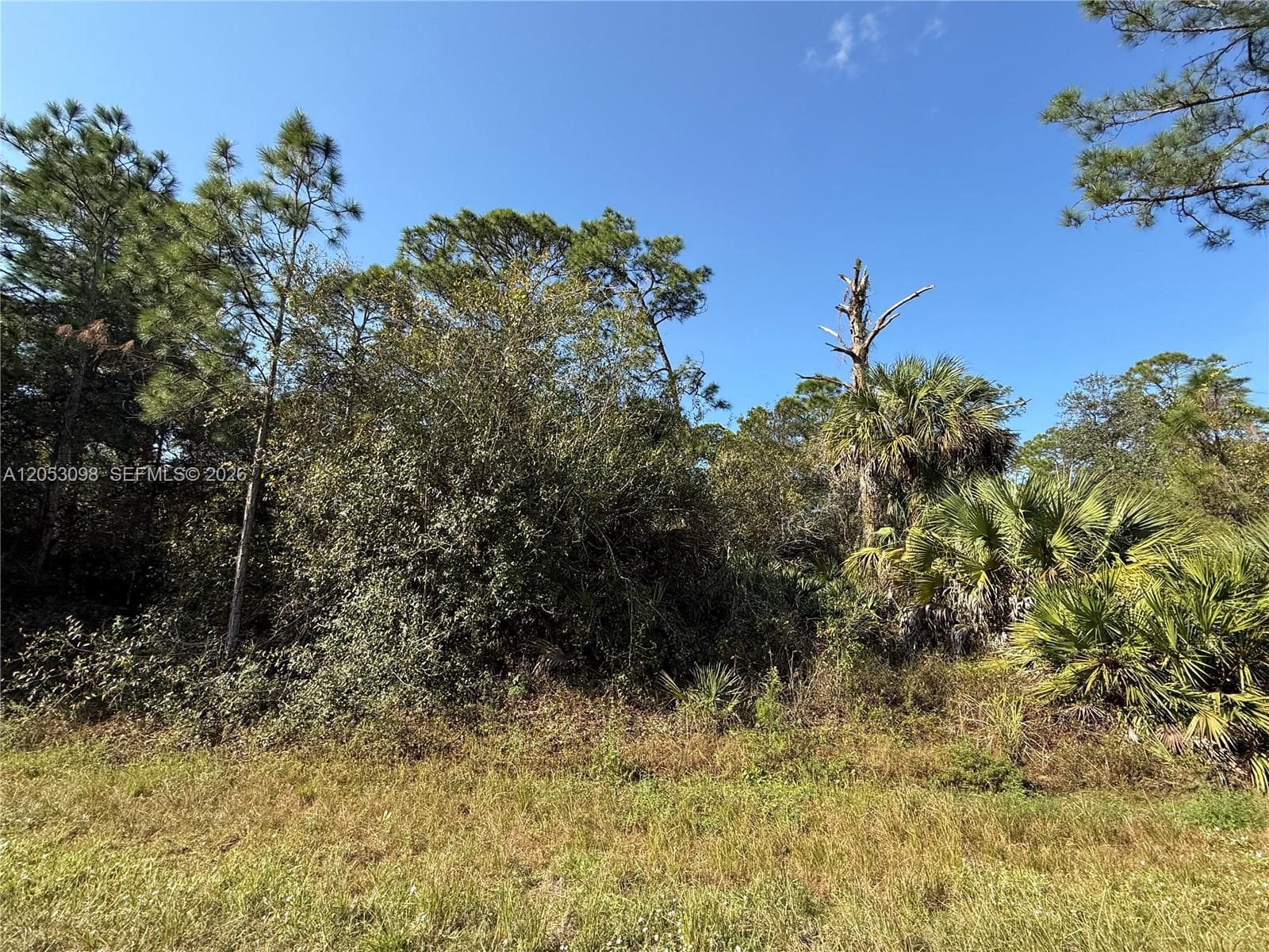 740 S LINDERO ST, Clewiston FL 33440
