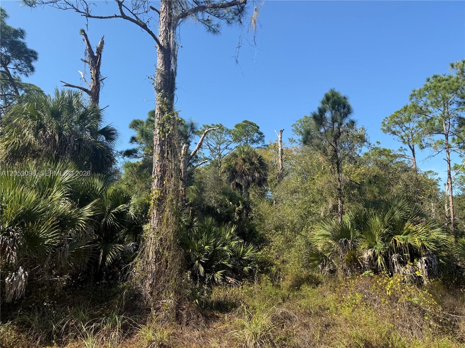 740 S LINDERO ST, Clewiston FL 33440