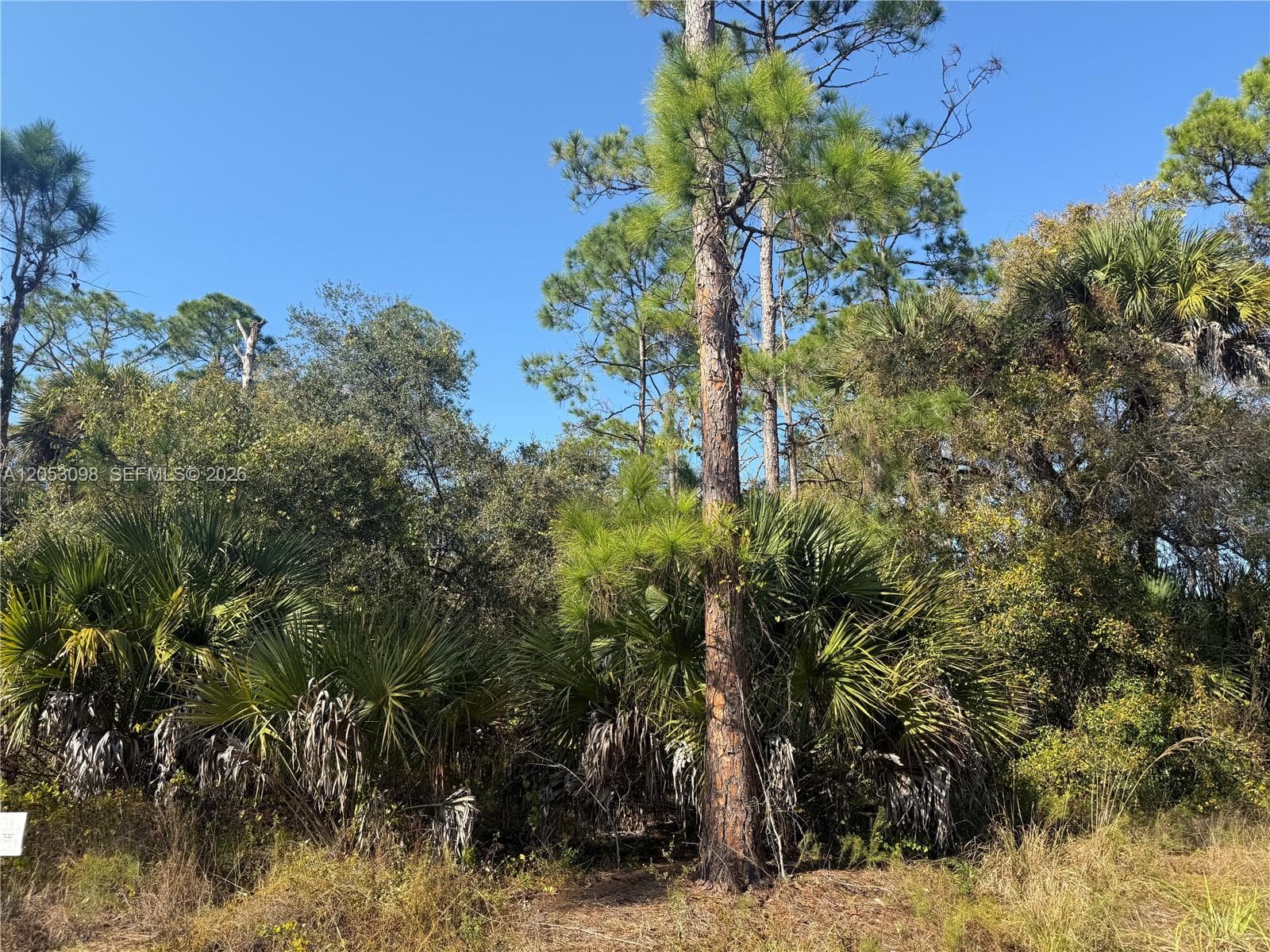 740 S LINDERO ST, Clewiston FL 33440
