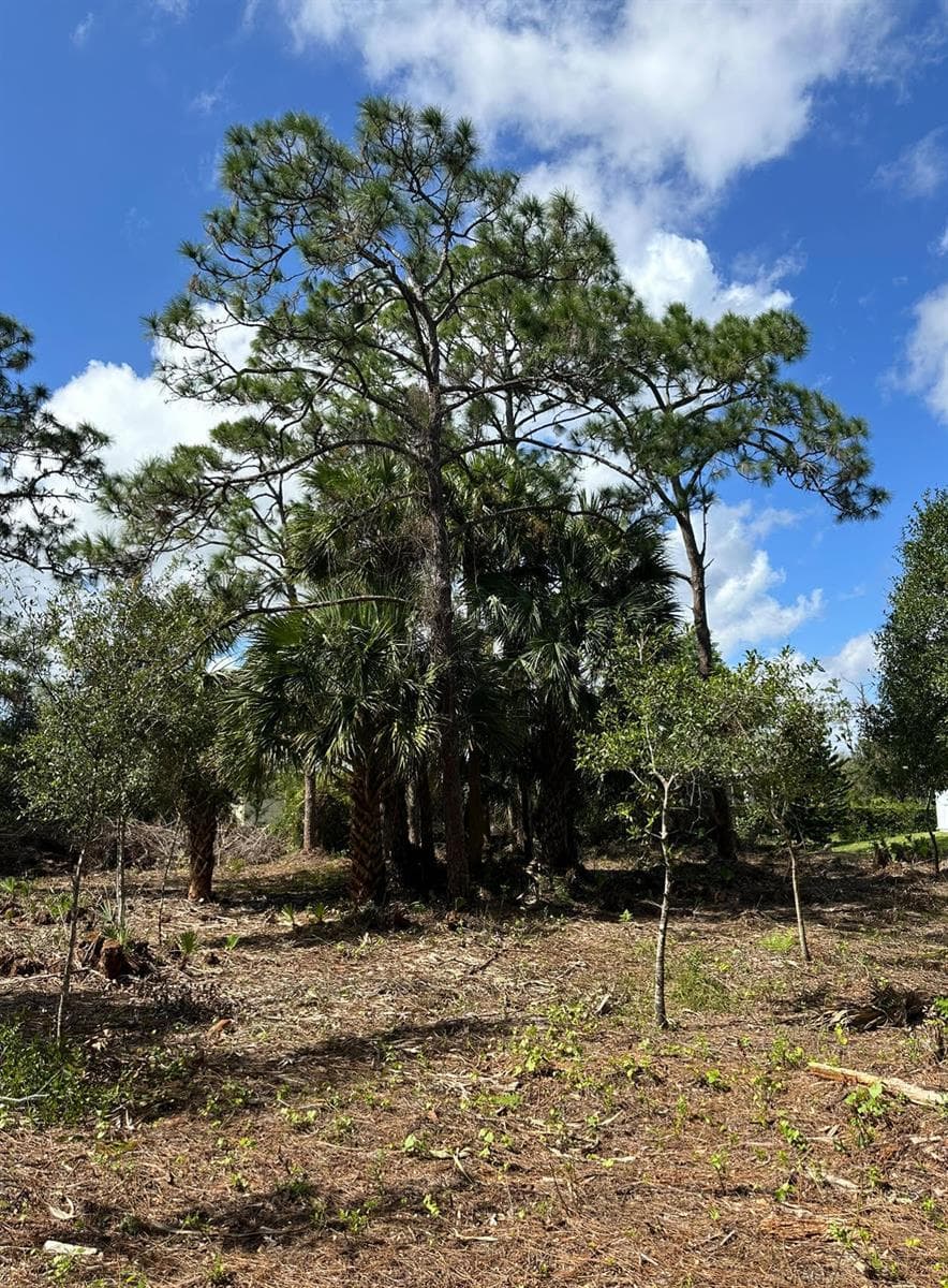 9125 106TH Avenue, Vero Beach FL 32967