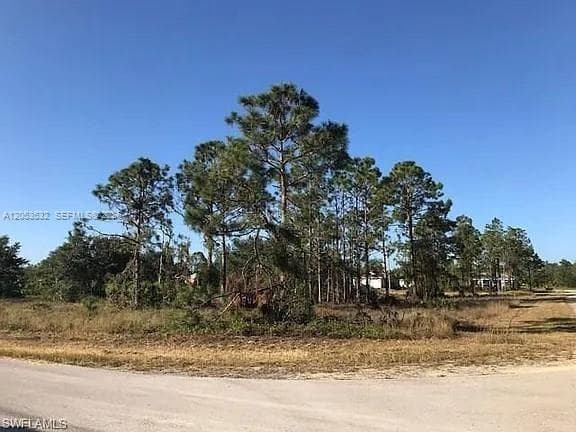 726 S Gaylord Avenue, Lehigh Acres FL 33974