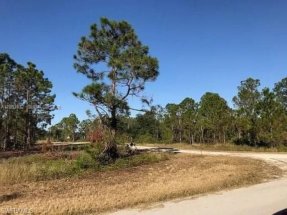 726 S Gaylord Avenue, Lehigh Acres FL 33974