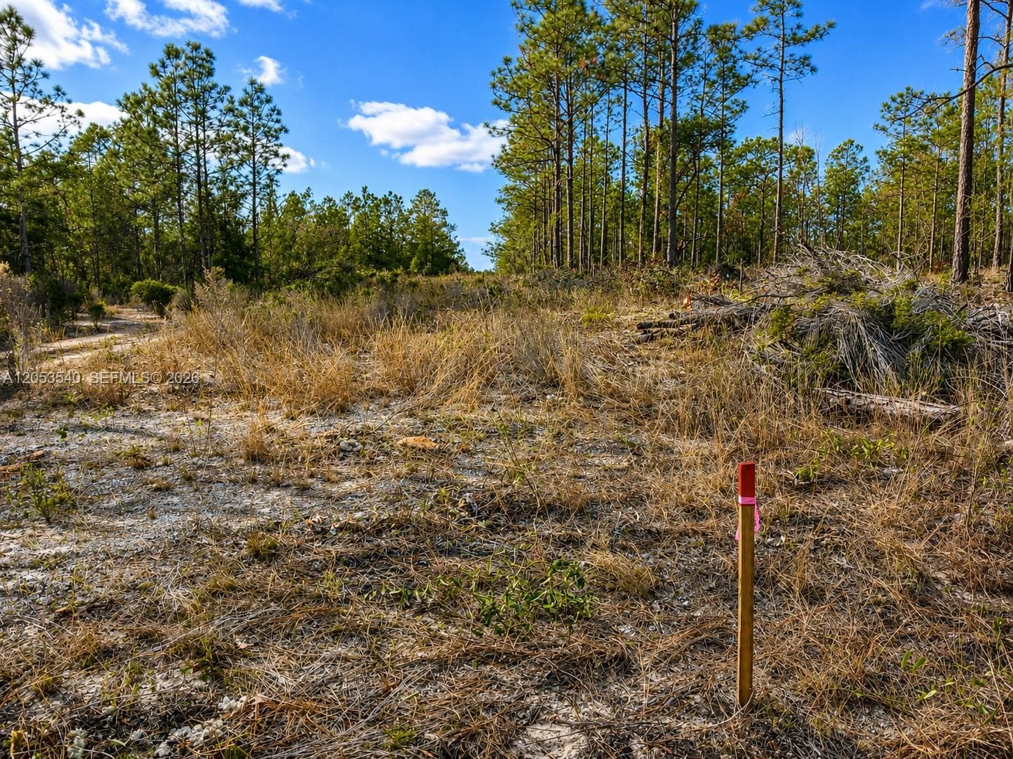 130 Indianapolis St, Palatka FL 32640