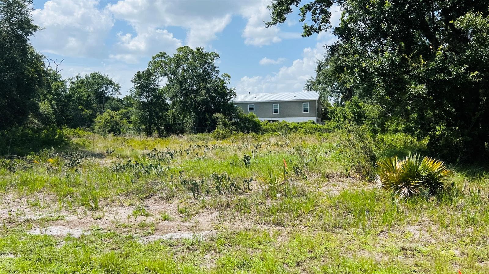 3151 MILLER Avenue, Lake Placid FL 33852