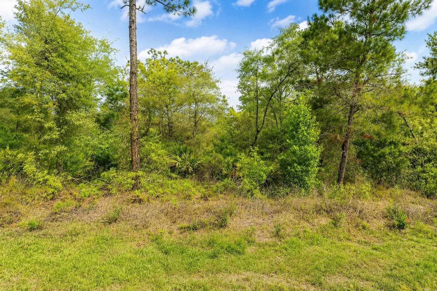 3075 W BEDFORD Lane, FL 34433